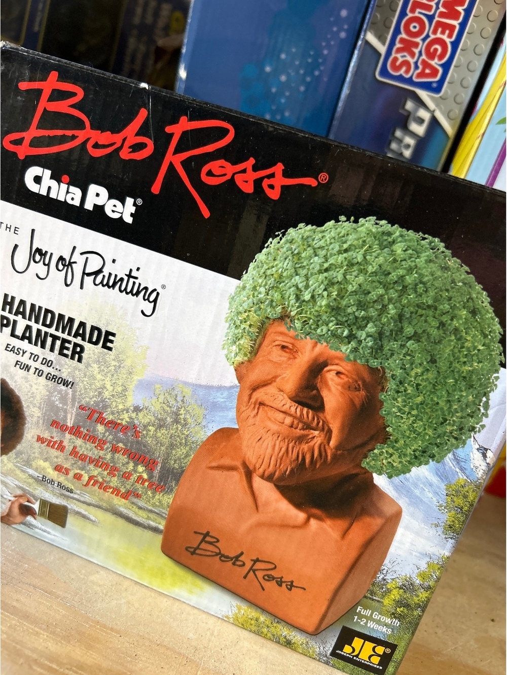 Bob Ross Chia Pet Handmade Planter with Chia Seeds